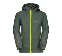 Jack Wolfskin Men's ICELAND 3IN1 JACKET B Coat, thyme green,