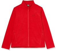 Jack Wolfskin Skywind Jacket Men's Jacket - Red Lacquer, XX-Large