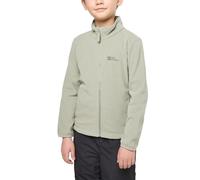 Jack Wolfskin Taunus Jacket K, Boys’ Fleece Jacket, Mint Leaf, 104 -