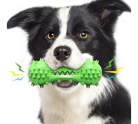 JACKANNA Toothbrush, dog chew toy, dog chew bones with the handle for cleaning, brushing teeth, chewing teeth, small, medium and large dog chewing (green)