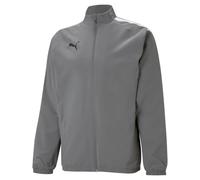 Puma TeamLIGA Sideline Men's Training Jacket, Grey/White, M (38 EU)