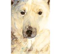 Jackie Morris Ice Bear Poster
