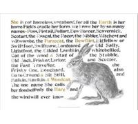 Jackie Morris Poster: Names of the Hare, The