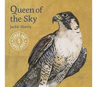 Jackie Morris Queen of the Sky Notecards Pack 1
