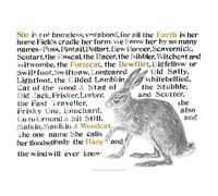 Jackie Morris The Names of the Hare Poster (Jackie Morris Posters)