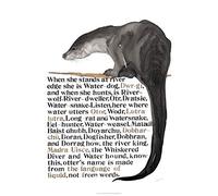 Jackie Morris The Names of the Otter Poster (Jackie Morris Posters)