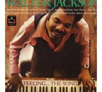 Jackson Walter - Feeling the Song