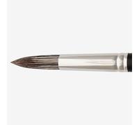 Jackson's : Black Hog Bristle Brush : Round : No.12