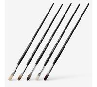 Jackson's : Long Handle Oil & Acrylic Brush : Comparison Set of 5 Filbert