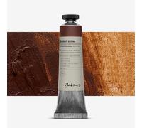 Jackson's : Professional Oil Paint : 40ml : Burnt Sienna
