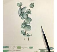 Jackson's : Watercolour Workshop : Botanical Watercolour Painting With Karen Green