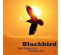Jaco Pastorius and Ali Rashied - Blackbird (Deluxe sleeve) [180 gm LP Coloured Vinyl]