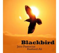 Jaco Pastorius & Rashied Ali - Blackbird [VINYL]