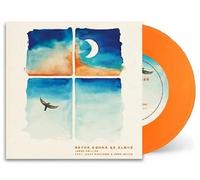 Never Gonna Be Alone [VINYL]