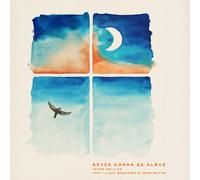 Never Gonna Be Alone [VINYL]