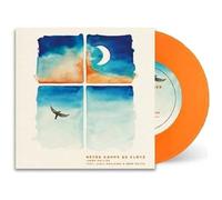 Never Gonna Be Alone [VINYL]