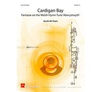 Jacob de Haan: Cardigan Bay
