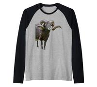 Jacob Sheep Ovis Aries Horned Animal Portrait Raglan Baseball Tee