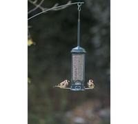 Jacobi Jayne Squirrel Buster Mini Bird Feeder - 600ml