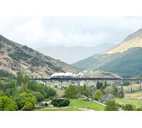 Jacobite Steam Train included