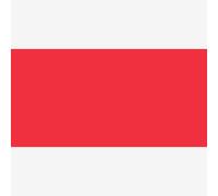 Jacquard : Procion : MX Dye : Cold Water : 8oz : 230g : #030 Fire Engine Red