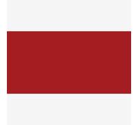 Jacquard Products Ruby Red-Textile Color Paint, Acrylic, Multicolour