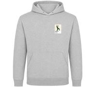 Jacques Kallis Cricket Icon Frame Men's Hoodie - Gray / M