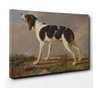 Jacques-Laurent Agasse Hound Canvas Print | Gallery Wrapped 30mm Frame Wall Art | 30x20 inches | Ready to Hang | Modern Animal Picture | Living Room Bedroom Lounge Office