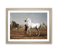 Jacques Laurent Agasse The Wellesley Grey Arabian Classic Painting Framed Print | A4 Oak Framed Wall Art | Ready to Hang | Classic Historical Picture | Living Room Bedroom Lounge Office
