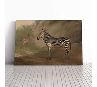 Jacques-Laurent Agasse Zebra Canvas Print | Gallery Wrapped 30mm Frame Wall Art | 24x16 inches | Ready to Hang | Modern Animals Picture | Living Room Bedroom Lounge Office