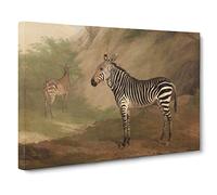 Jacques Laurent Agasse Zebra Classic Painting Canvas Wall Art Print Ready to Hang, Framed Picture for Living Room Bedroom Home Office Décor, 20x14 Inch (50x35 cm)