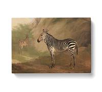 Jacques Laurent Agasse Zebra Classic Painting Canvas Wall Art Print Ready to Hang, Framed Picture for Living Room Bedroom Home Office Décor, 76x50 cm (30x20 Inch)