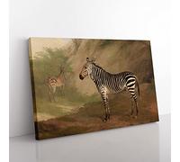 Jacques Laurent Agasse Zebra Classic Painting Canvas Wall Art Print Ready to Hang, Framed Picture for Living Room Bedroom Home Office Décor, 50x35 cm (20x14 Inch)