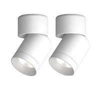 Jadssox LED Ceiling Spotlight Adjustable Surface Mounted Accent Spot Light, 360+90 Angle Rotation Gallery Picture Lighting Fixture, Bedroom Drawing Room Directional Spotlights