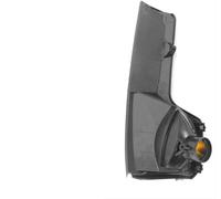 Jaeooai Side Mirror Indicator Light for Iveco For Daily 2015 2016 2017 2018 2019 2020 Auto Rearview Turn for Signal Lights Wing Mirror Indicator(R)