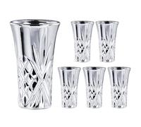 Jaepsing 2oz Silver Shot Glass Set - 6 Heavy Base Cute & Fancy Bulk Tequila/Cordial Glasses