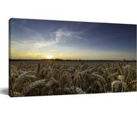 Jaesxxco Canvas Painting Wall Art An Agricultural Field Wheat Ready To Be Harvested By The Farmer During Wall Decor For Vintage Poster Print For Living Room Bedroom Office Home Unframed 12x16Inch