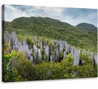 Jaesxxco Canvas Wall Art Print Pinnacles At Mulu National Park Sarawak Modern Poster Print For Living Room Bedroom Office Home 12x16Inch Unframed