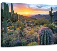 Jaesxxco Canvas Wall Art Print Spectacular Sunset Illuminates Saguaro Cacti Near Windgate Pass Modern Poster Print For Living Room Bedroom Office Home 12x16Inch Unframed