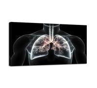 Jaesxxco Canvas Wall Art Respiratory Lungs Anatomy Canvas Prints Unframed Painting Modern Artwork Abstract Stretched Poster Home Decoration Unique Gift 12X16Inch