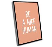 Jaesxxco Fun Bedroom Decor,Wall Art Living Room Decor,Counseling Office Decor,Be A Nice Human,Fashion Decor,Motivation,Groomsmen Gifts,Typography,Gifts For Mom,12x16 Inch UnFramed Wall Art
