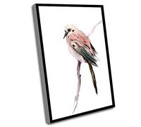 Jaesxxco Funny Bedroom Decor,Light Living Room Decor,Home Office Decor,Bathroom Wall Art UnFramed,Mourning Dove Watercolor Bird Painting,Canvas Watercolor Frame Art,12x16 Inch UnFramed Wall Art