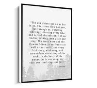 Jaesxxco John Muir Quote,The Sun Shines Not On Us But In Us,Mountain Thoughts,Nature Quote Print Canvas Wall Art For Living Room Bedroom Office Home Decoration Artwork 121X6Inch Unframed