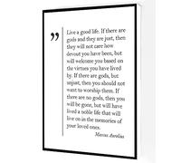 Jaesxxco Live A Good Ilfe Canvas Wall Art,Marcus Aurelius Quote Poster,Philosophy Quotes Prints Modern Artwork Painting For Living Room Office Home Decoration Unframed 8x10inch