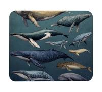 Jaesxxco Marine Mammals With Whales (3) Mousepad Gaming Keyboard Mat Desk Accessories Ultra-Smooth Office Mousepad For Laptop Office Home 7.9X9.4 Inch