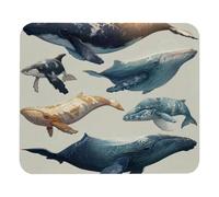 Jaesxxco Marine Mammals With Whales Computer Mouse Pad,Rubber Mouse Mat For Gaming, Office, Laptop, Pc, Women 7.9X9.4 Inch