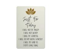 Jaesxxco Metal Wall Decor Reiki Principles Wall Decor Aluminum Sign 5.5x8inch