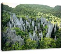Jaesxxco Modern Canvas Wall Art The Pinnacles Rock Formation At Gunung Mulu National Park Poster For Living Room Bedroom Office School Home Decoration 12x16 Inch Unframed