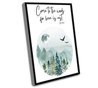 Jaesxxco Small Office Decor,John Muir Trail Quote Come To The Woods,Forest Watercolor Painting,Nature Gift,Cabin Decor,Earth Day Outdoor,Living Room Wall Art,12x16 Inch UnFramed Wall Art,White
