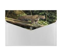 Jaguar Cat on Tree Trunk Waterfall File Folder with Snap&6 Pockets Reusable File Organizer Portable Document Paper Bill Receipt Organizer Plastic Envelopes for Office College Letter Size